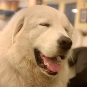 Meet your Posher, Kate